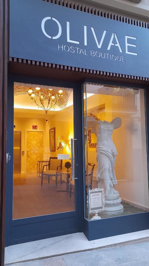 Olivae Hostal Boutique Caceres Exterior photo