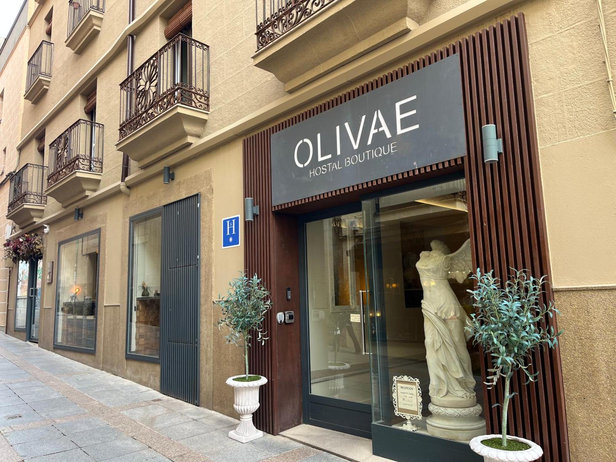 Olivae Hostal Boutique Caceres Exterior photo